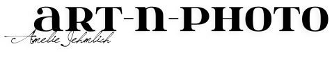 Logo Art-n-Photo